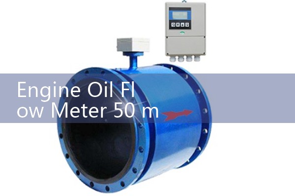 Engine Oil Flow Meter 50 m3/h: Scaling Up Wholesale Distribution Manifolds